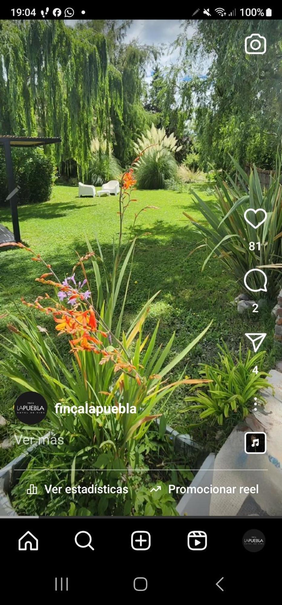 Finca La Puebla La Consulta Exterior foto